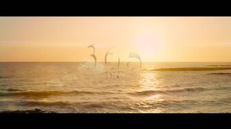 365 Days 2020 1080p (1)