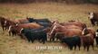 When Hope Calls S02E08 720p WEB H264-JFF-